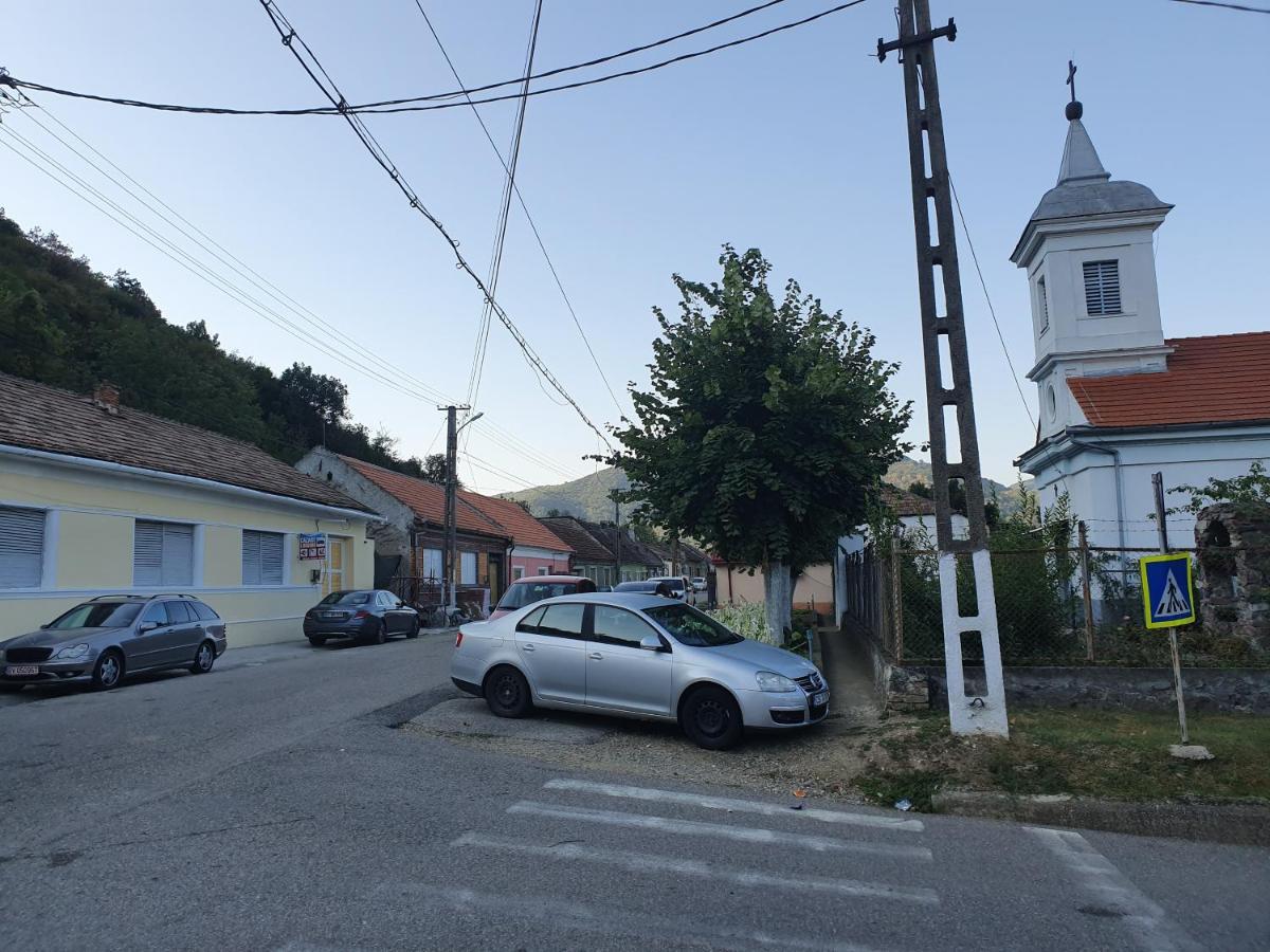 Albina Dunareana Otel Berzasca Dış mekan fotoğraf