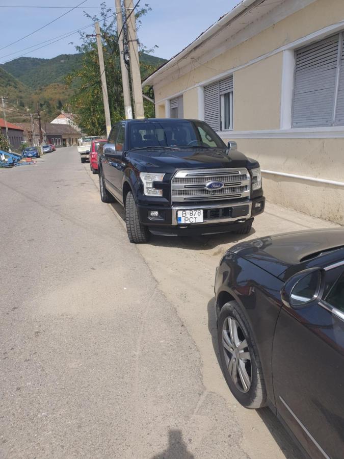 Albina Dunareana Otel Berzasca Dış mekan fotoğraf